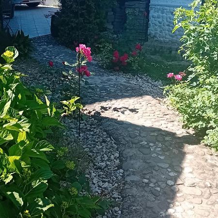 Rose Room 40M2 With Terrace 25M2 In Greeny Area For 4 Person Lublana Zewnętrze zdjęcie