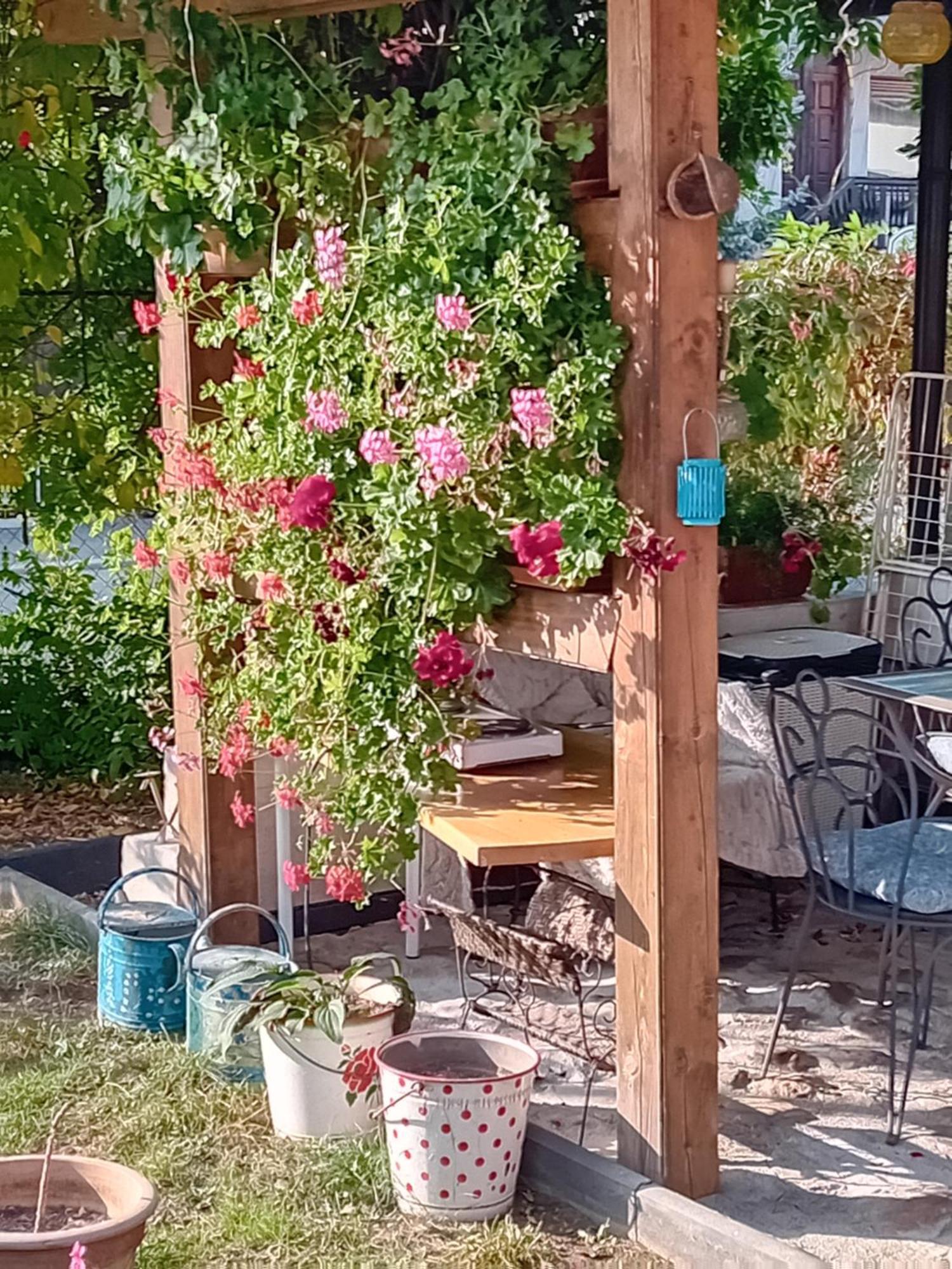 Rose Room 40M2 With Terrace 25M2 In Greeny Area For 4 Person Lublana Zewnętrze zdjęcie