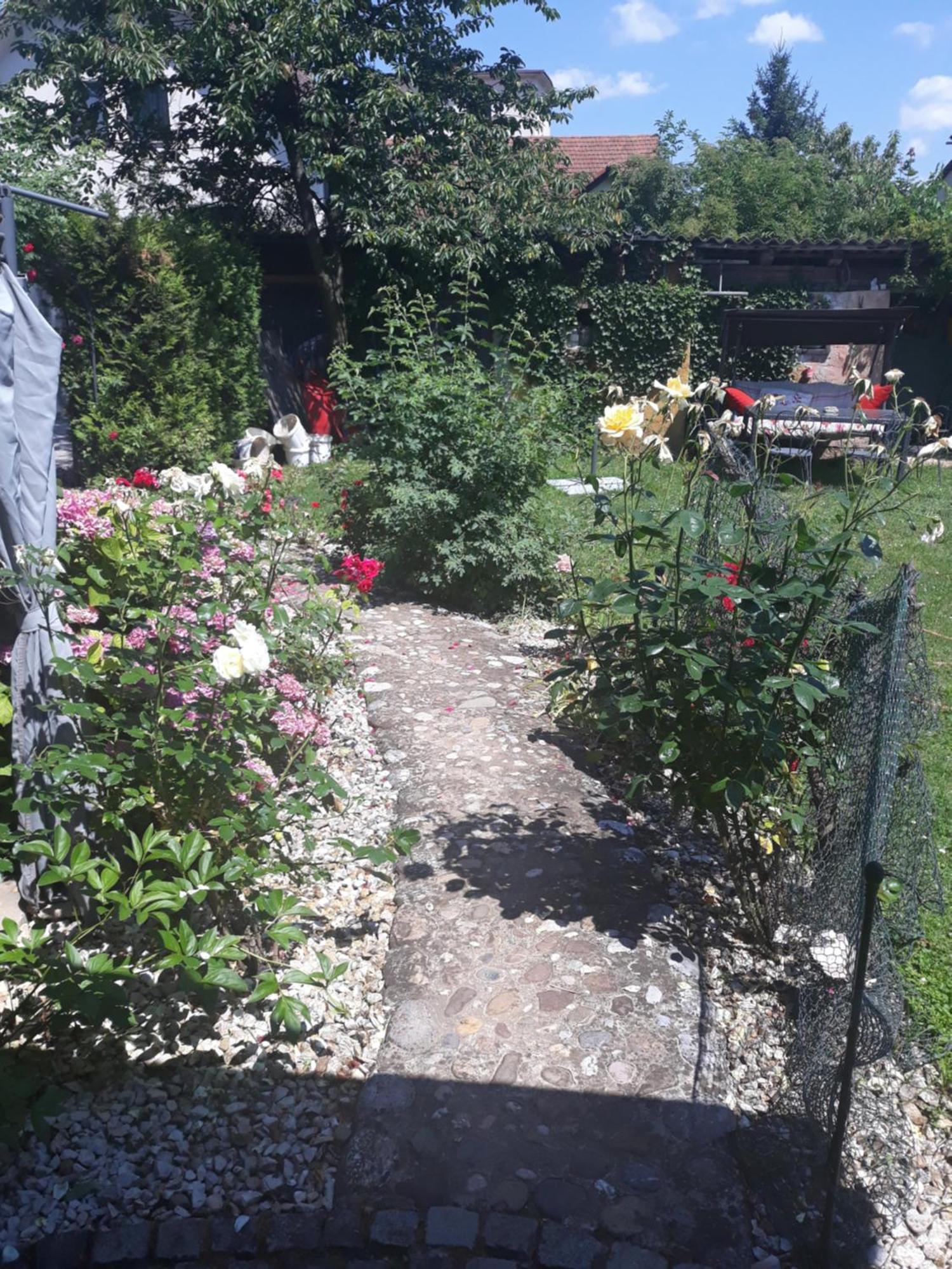 Rose Room 40M2 With Terrace 25M2 In Greeny Area For 4 Person Lublana Zewnętrze zdjęcie