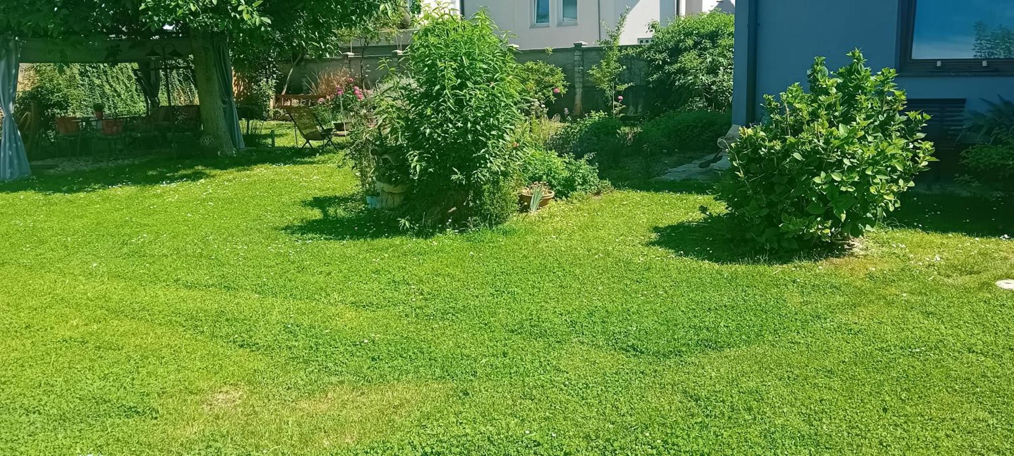 Rose Room 40M2 With Terrace 25M2 In Greeny Area For 4 Person Lublana Zewnętrze zdjęcie
